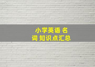 小学英语 名词 知识点汇总